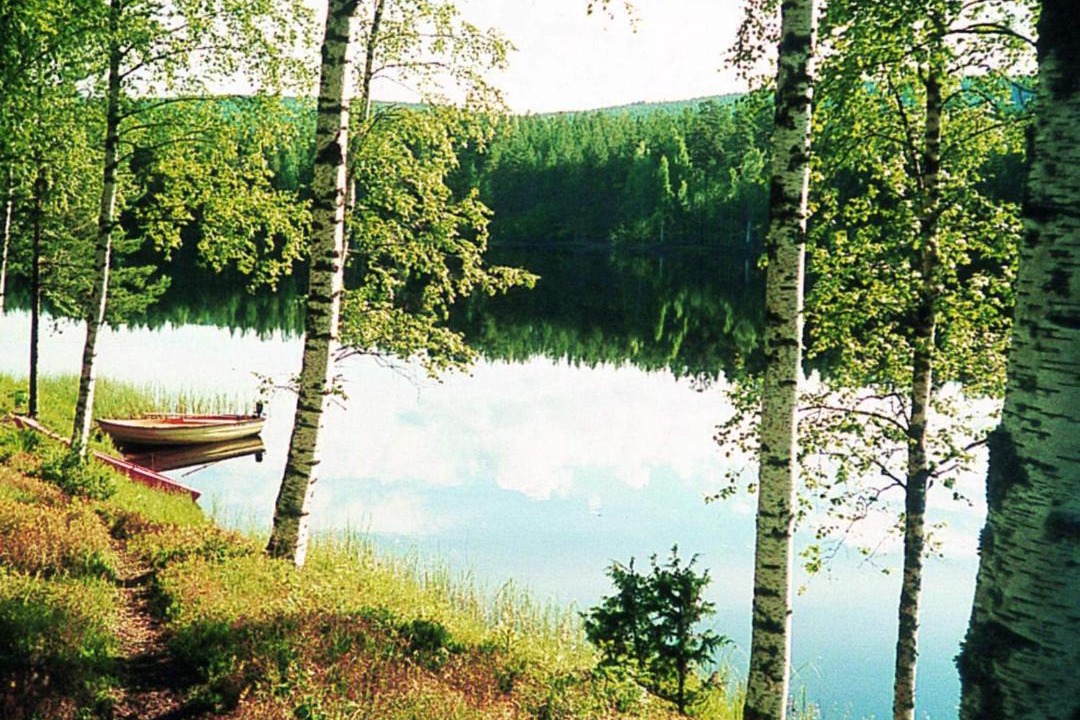 Photo of Others in Marbacken