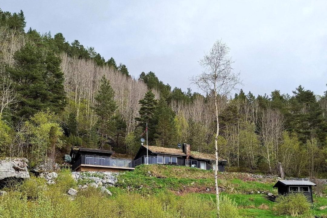 Photo of Others in Torvikbukt