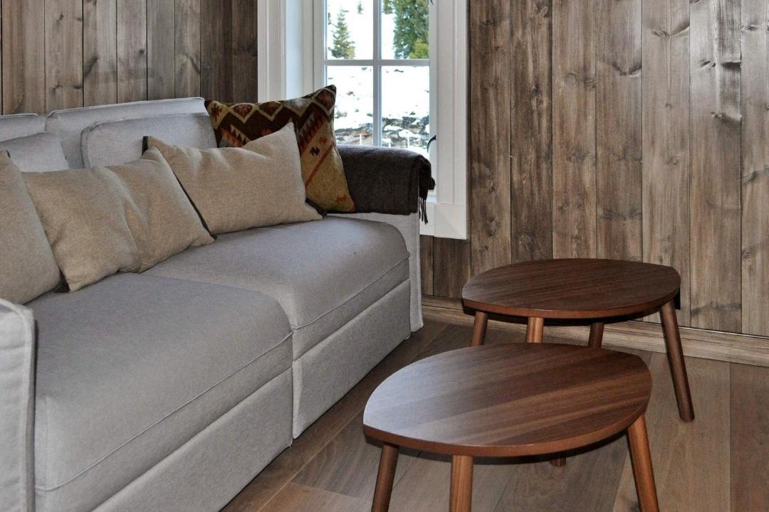 Photo of Livingroom in Skeikampen