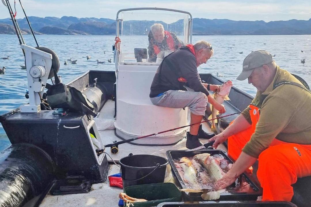 Photo of Others in South Varanger