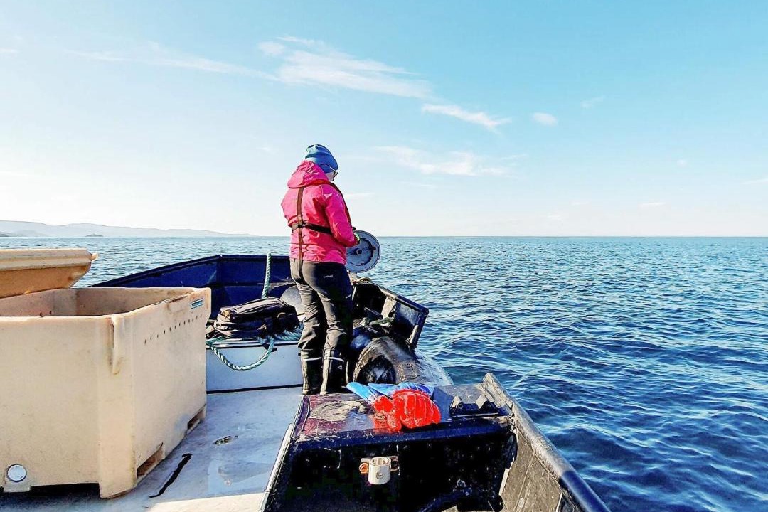 Photo of Others in South Varanger