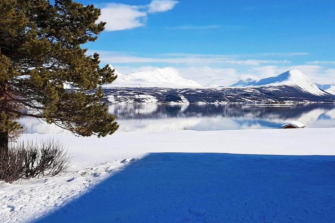Photo of Others in Balsfjord