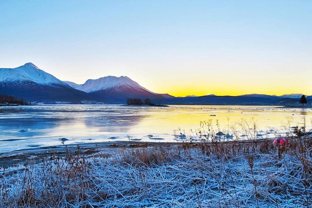 Photo of Others in Balsfjord