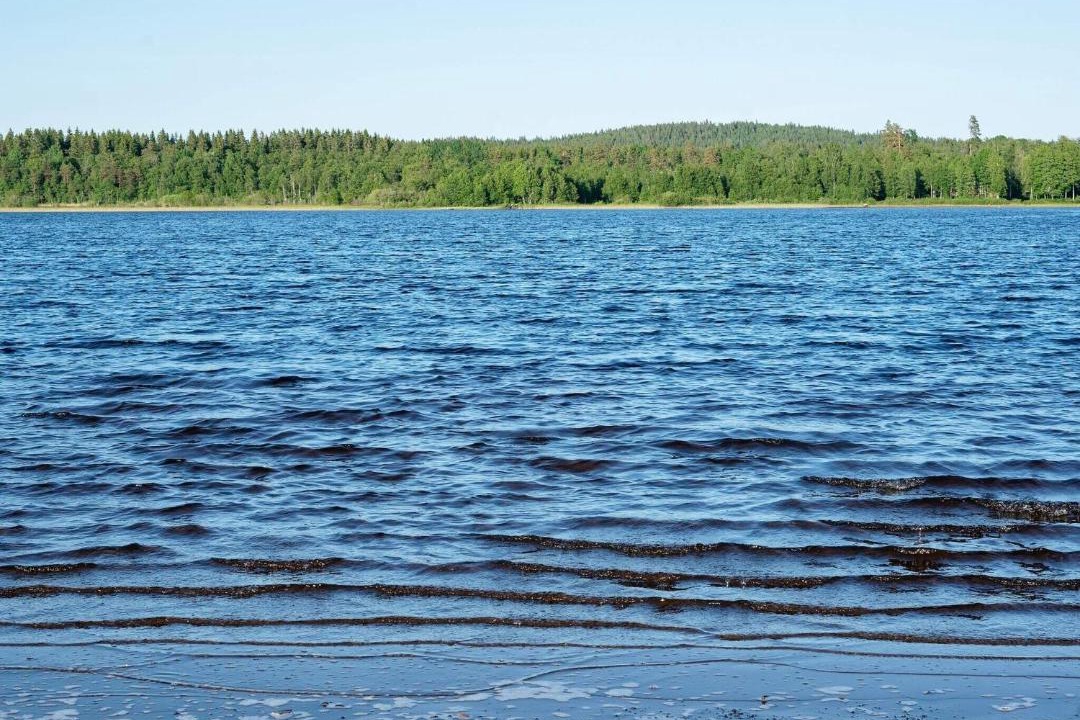 Photo of Others in Norra Sonarp