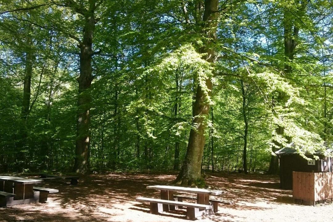 Photo of Others in Everod