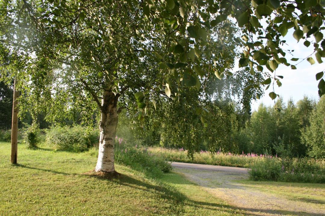Photo of Others in Stromsund