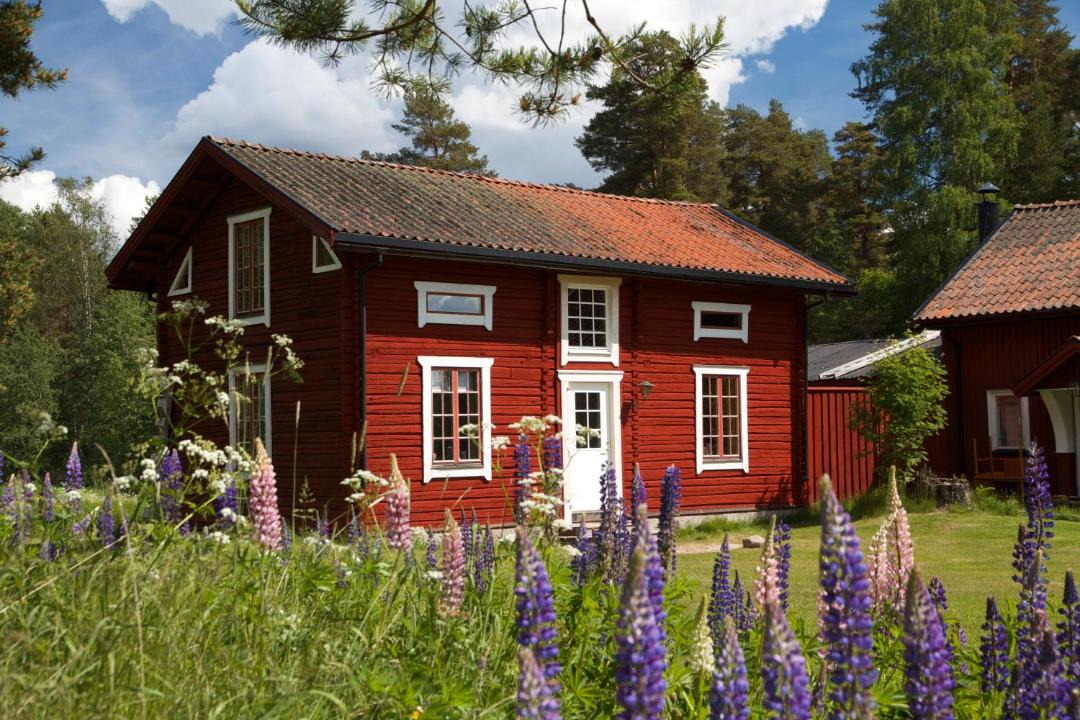 Photo of Others in Torsby