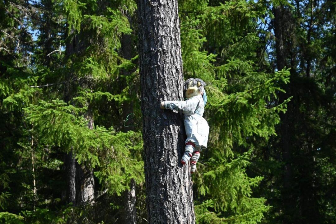 Photo of Others in Krokom