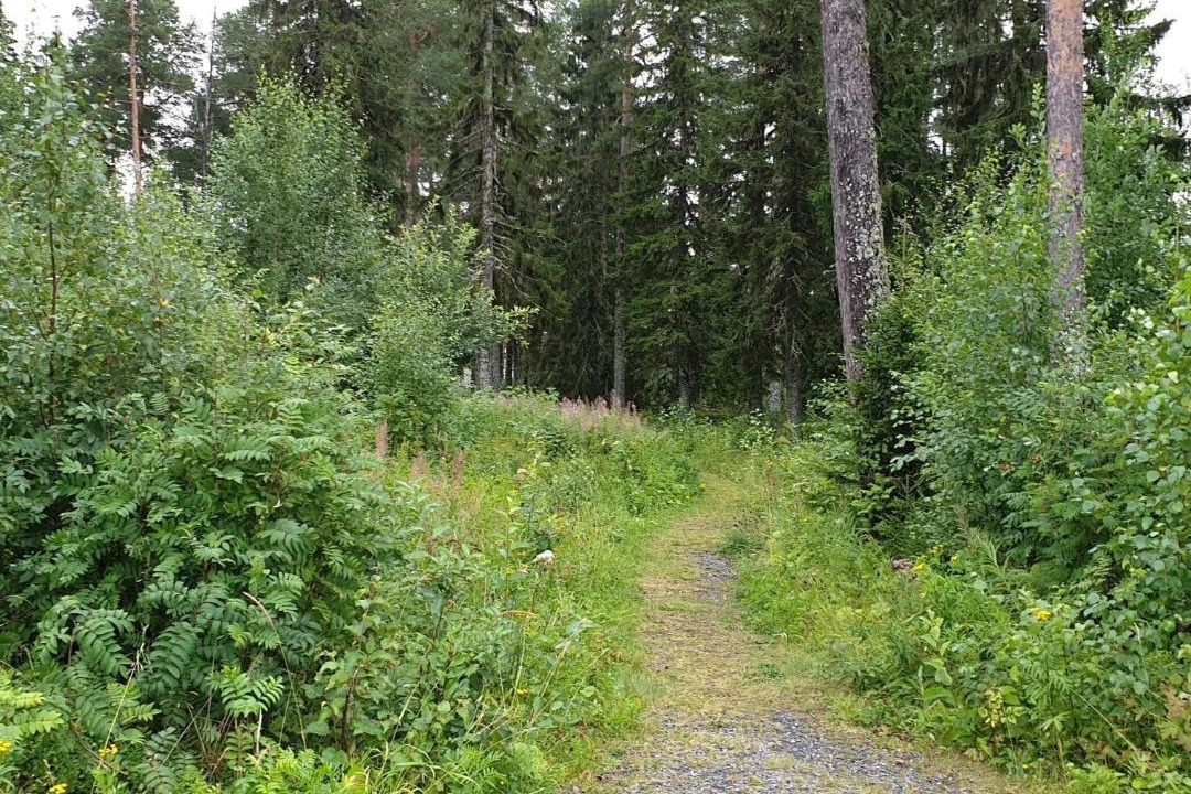 Photo of Others in Krokom