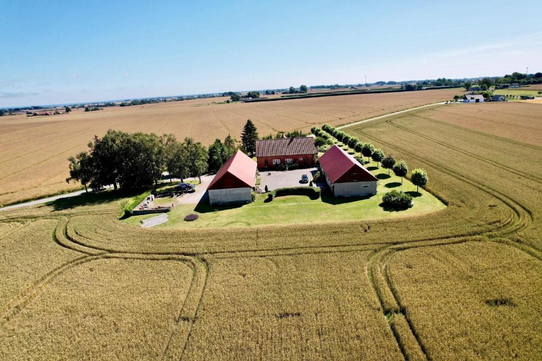 Photo of Others in Hammenhog