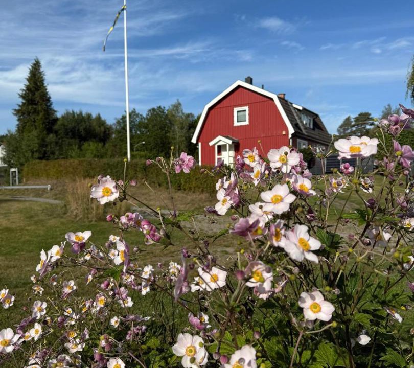 Photo of Others in Holmsjo