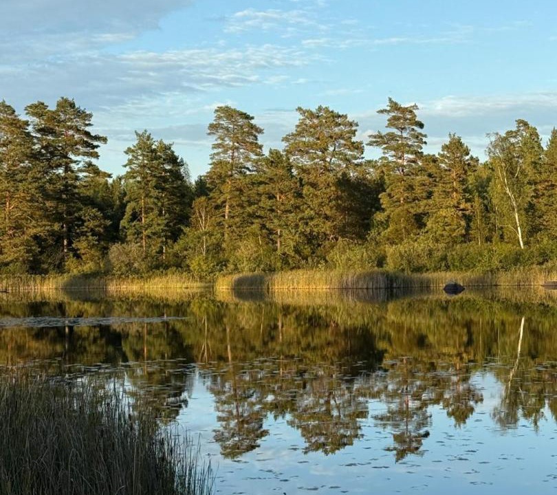 Photo of Others in Holmsjo