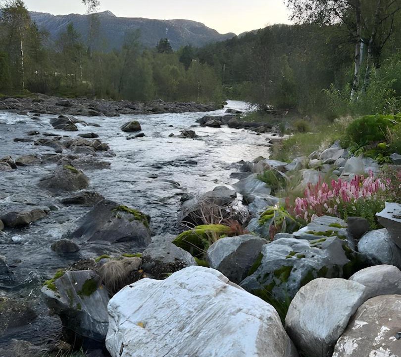 Photo of Others in Masfjorden