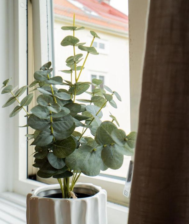 Photo of Others in Lundby