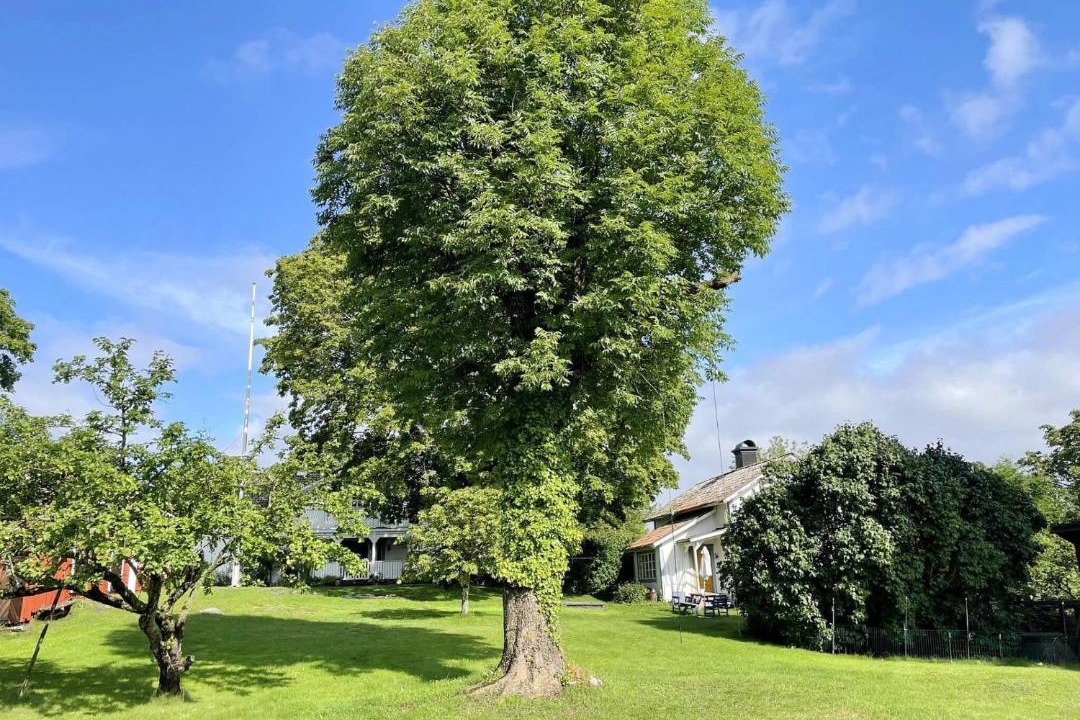 Photo of Outdoor in Bjorko