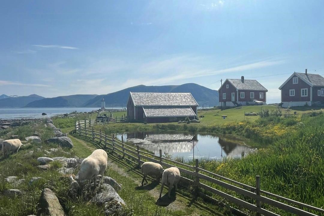 Photo of Others in Godøy