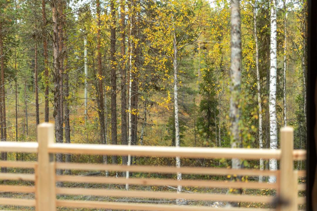 Photo of Others in Yllasjarvi
