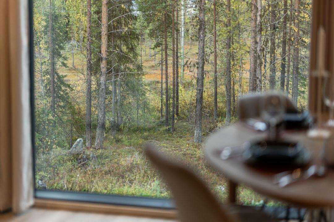 Photo of Others in Yllasjarvi