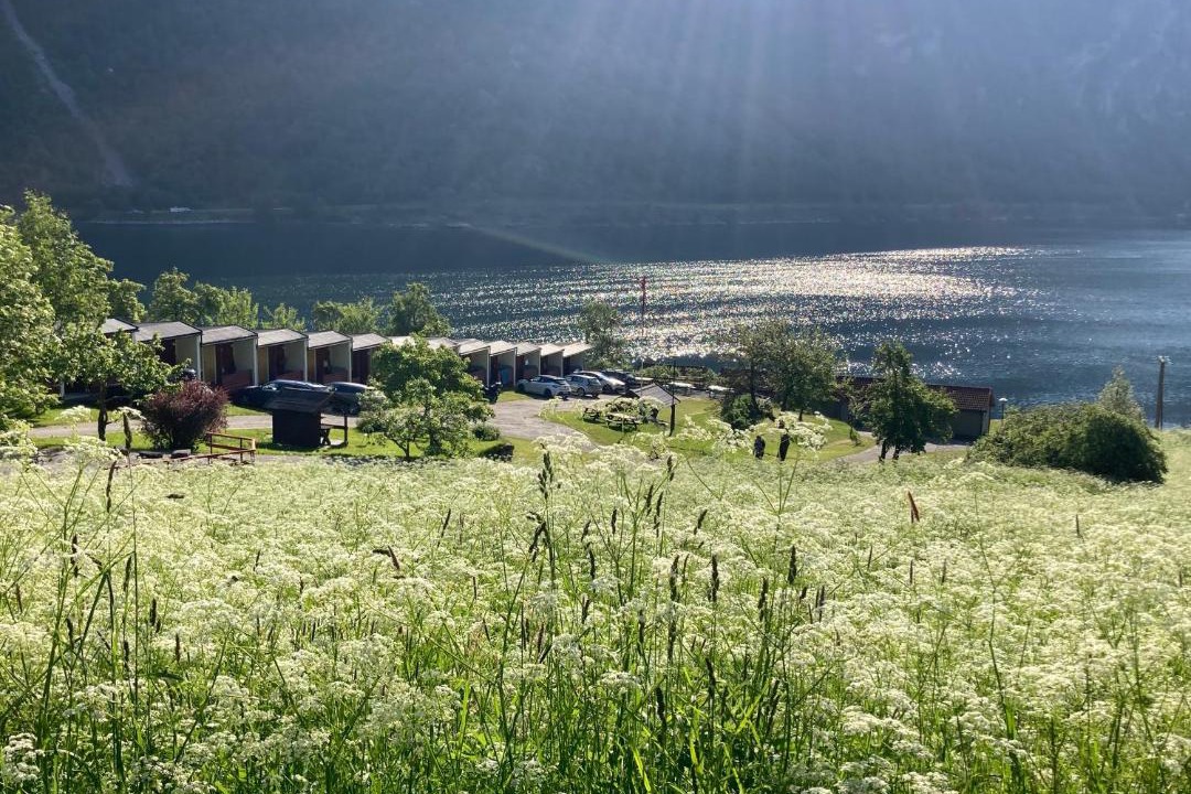 Photo of Others in Stranda