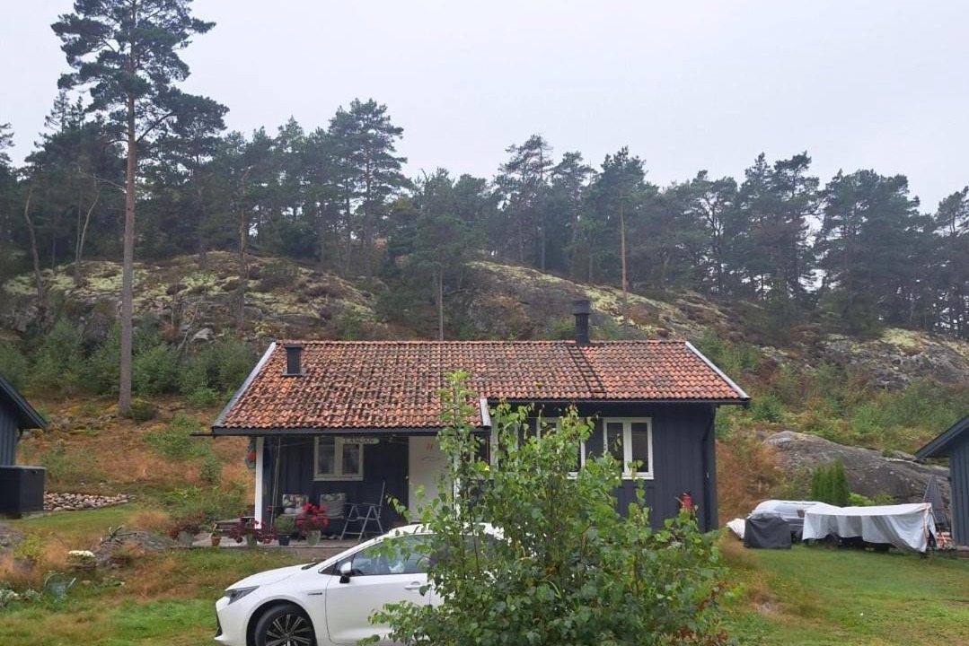Photo of Others in Lokholmen
