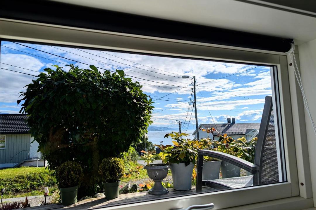 Photo of Others in Tromso