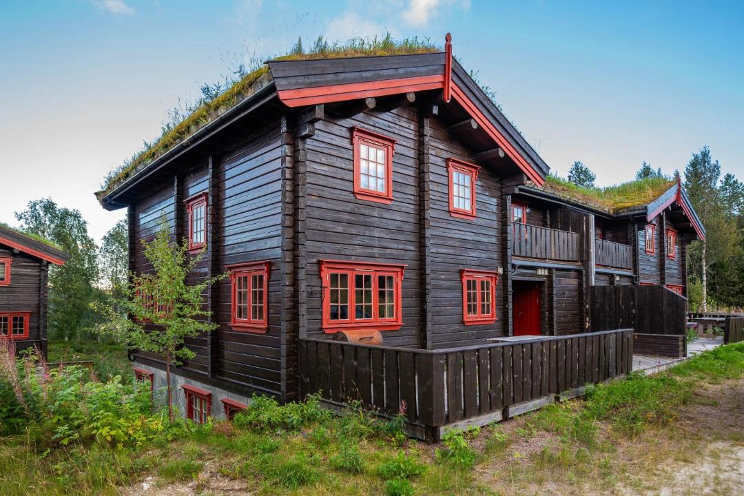 Photo of Others in Trysil