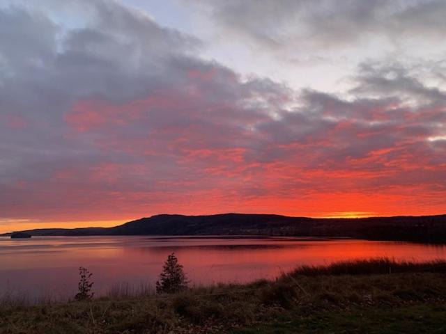 Photo of Others in Lysvik