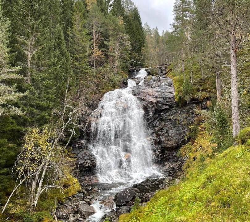 Photo of Others in Hornindal