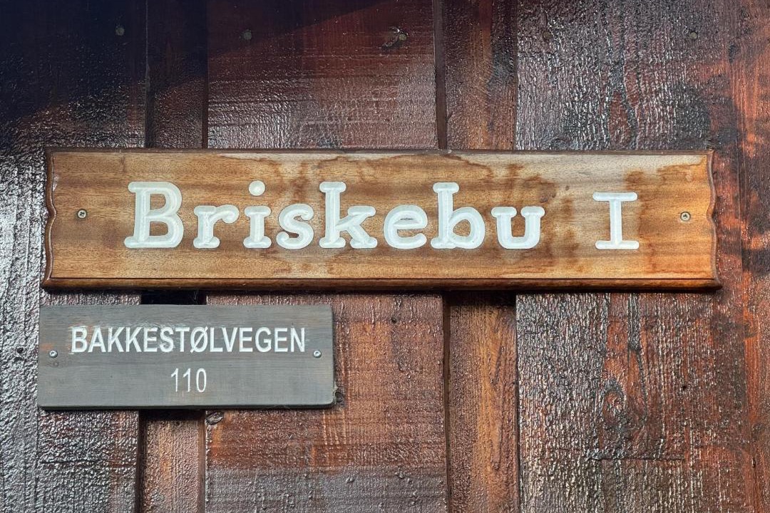 Photo of Others in Geilo