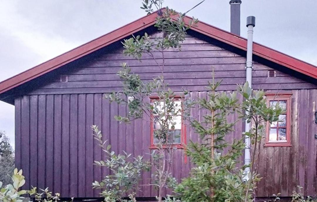 Photo of Others in Tynset