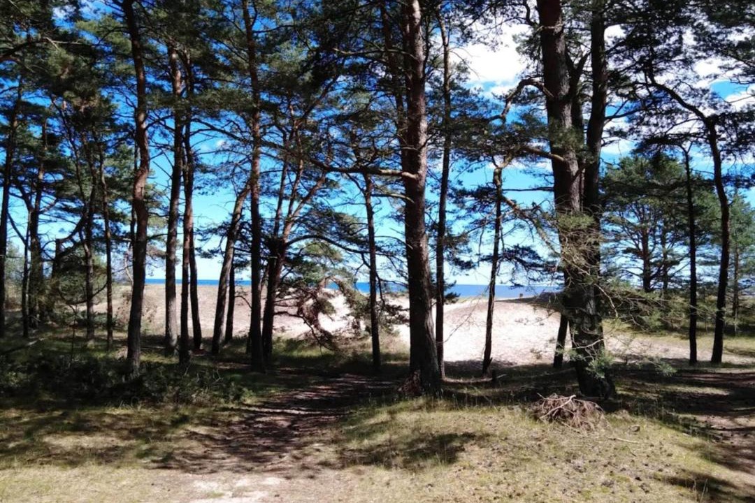 Photo of Others in Yngsjo