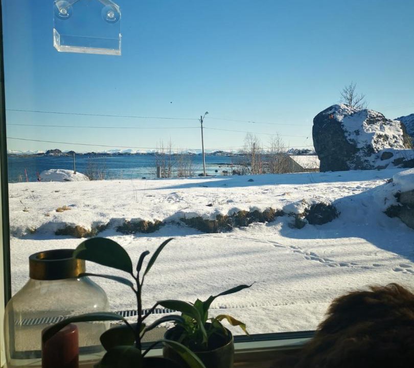 Photo of Others in Vestvagøy