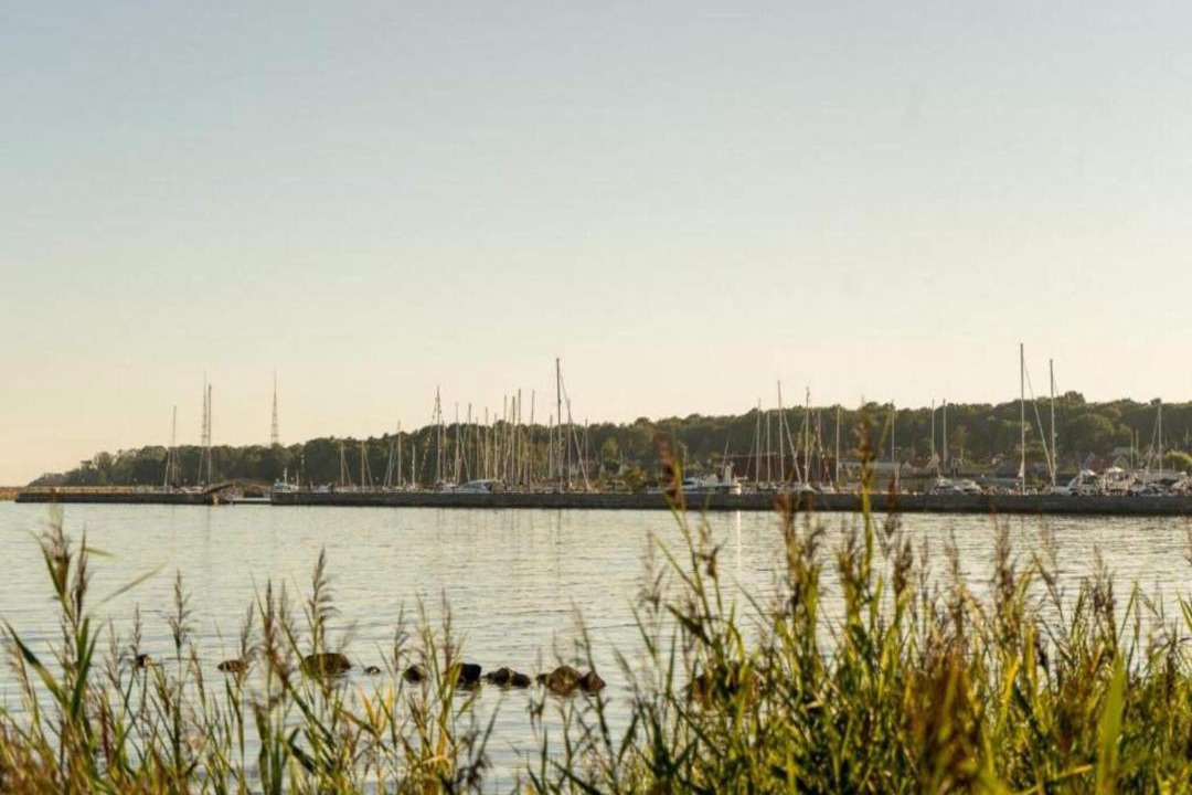 Photo of Others in Hallevik