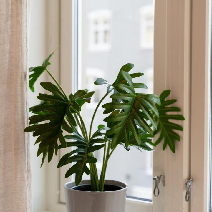 Photo of Others in Sandviken