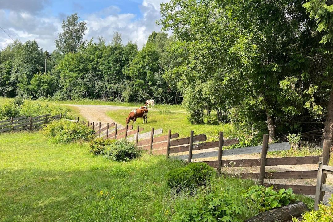 Photo of Others in Nannestad