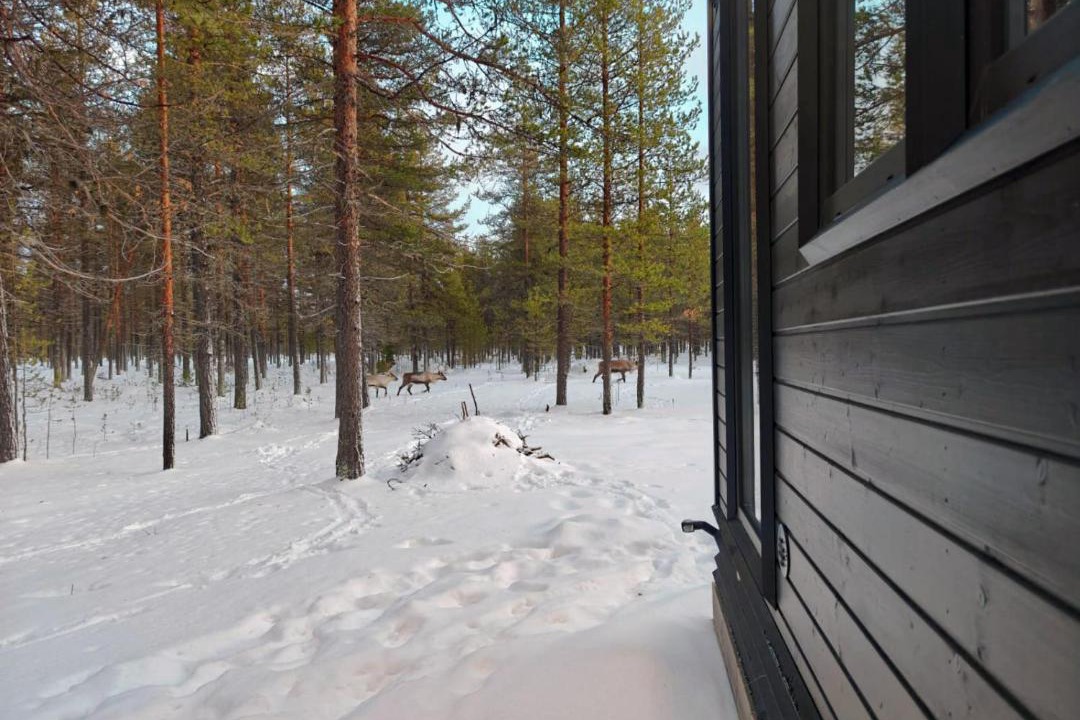 Photo of Others in Lampivaara