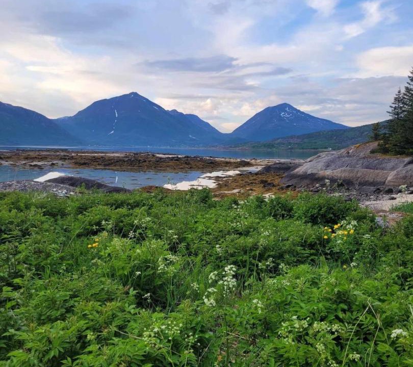 Photo of Others in Tjeldsund
