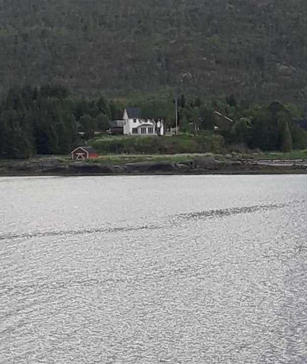 Photo of Others in Tjeldsund