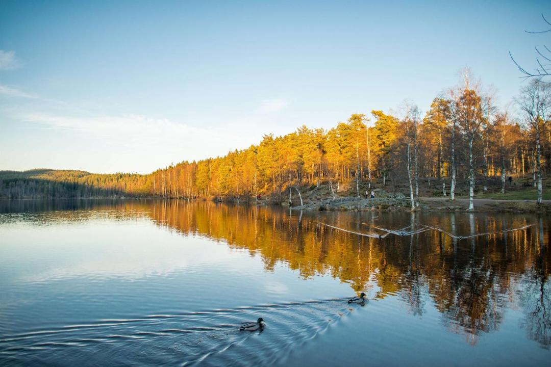 Photo of Others in Sogn