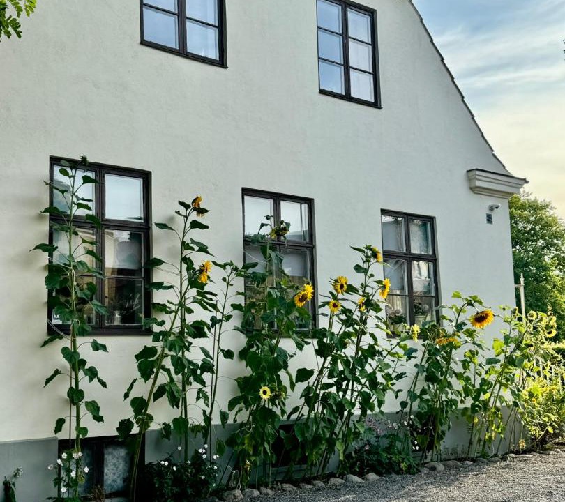 Photo of Others in Landskrona