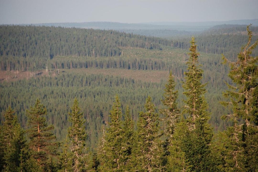 Photo of Others in Syote