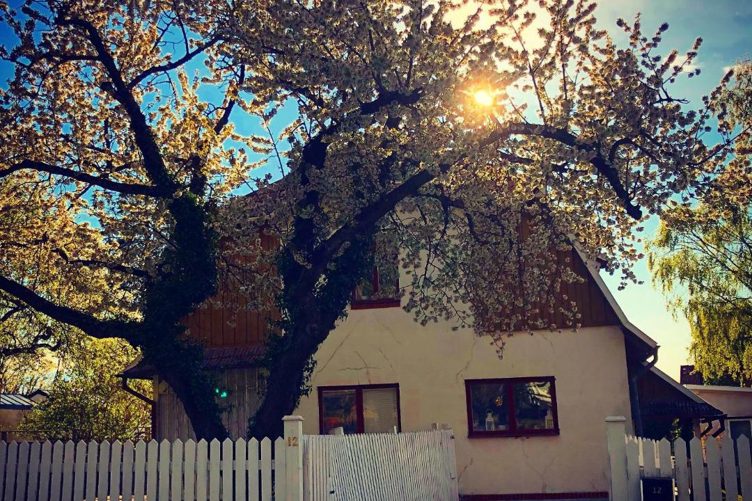Photo of Others in East Visby