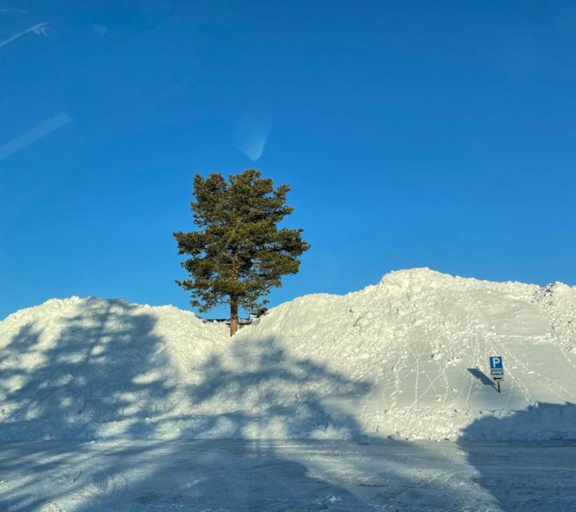 Photo of Others in Stoten