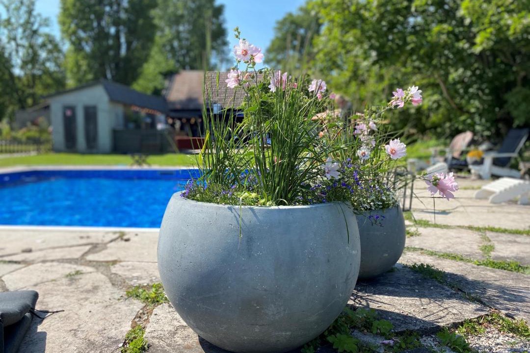 Photo of Others in Burgsvik