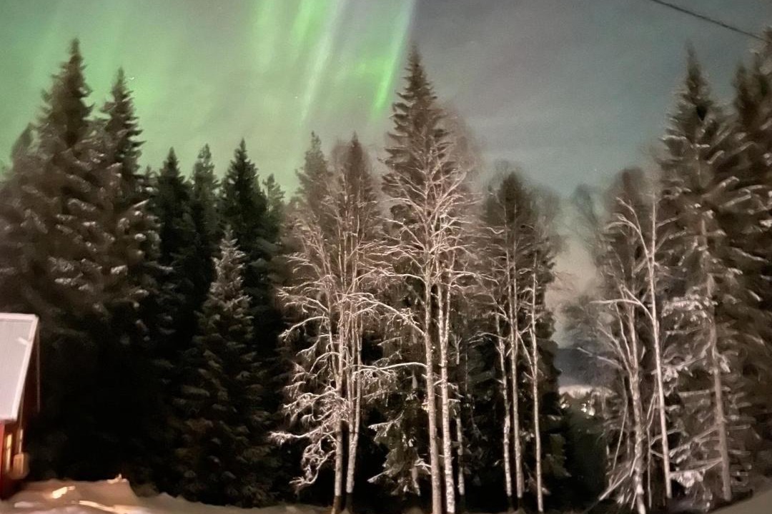 Photo of Others in Trysil