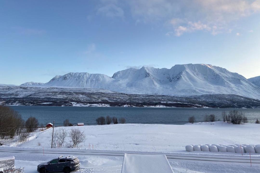 Photo of Others in Tromso