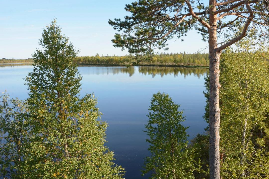 Photo of Others in Yllasjarvi