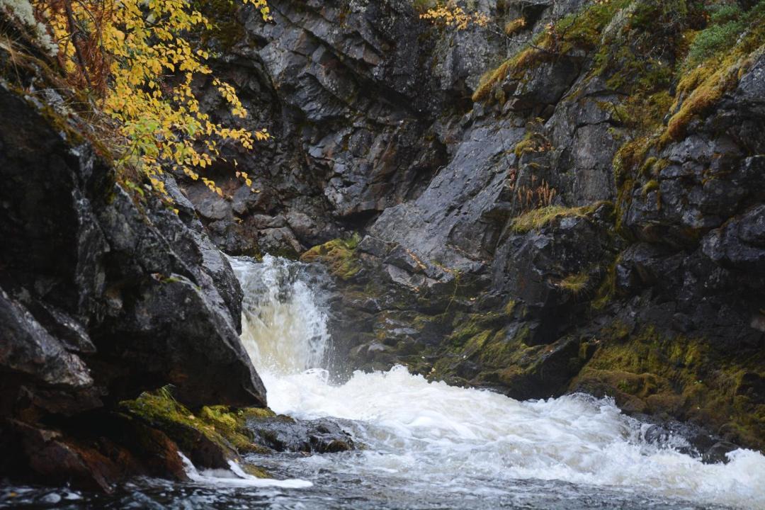 Photo of Others in Yllasjarvi