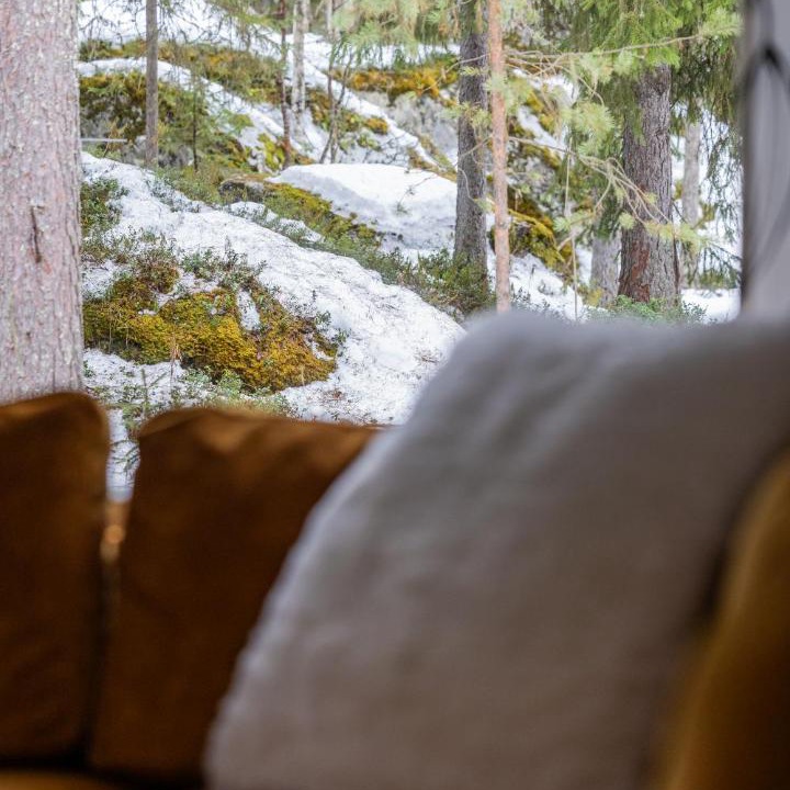 Photo of Others in Rovaniemi