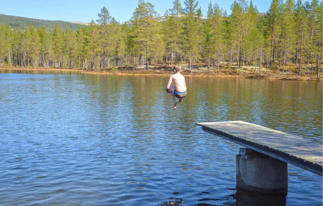 Photo of Others in Ljordal